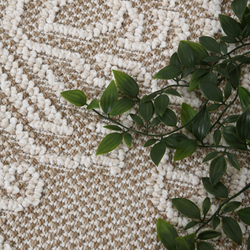 Flatweave Rugs