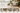 Best Rugs for Indoor Plants