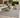 Harbour Weave Oat Indoor Outdoor Rug styled in a modern coastal outdoor entertaining area