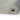 Rolled-up gice smoke rug on a white background
