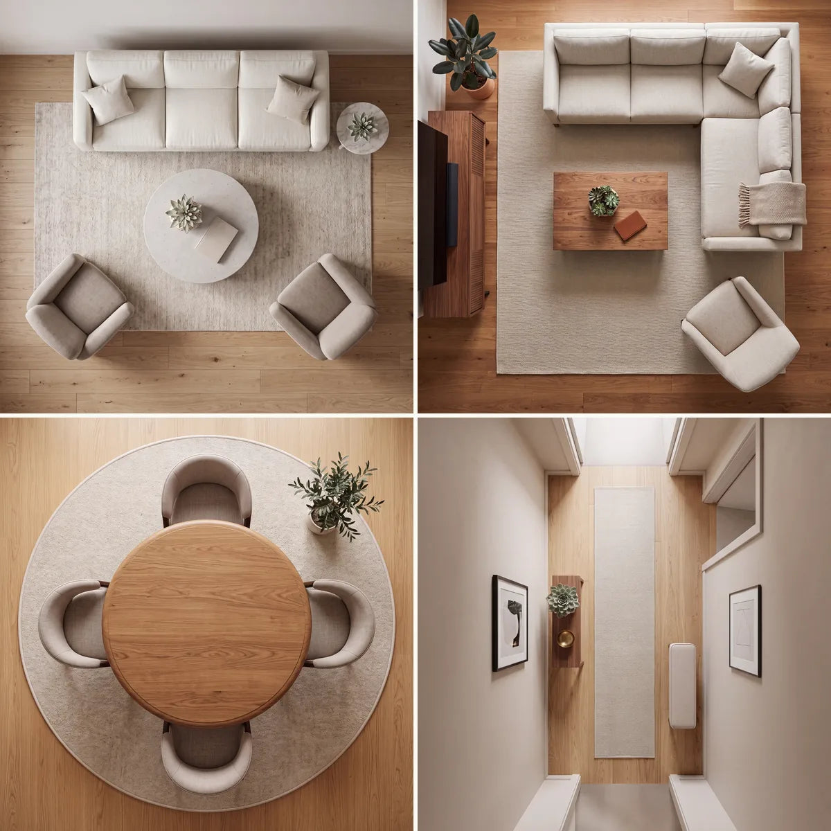 All sizes rug seen from above in a room