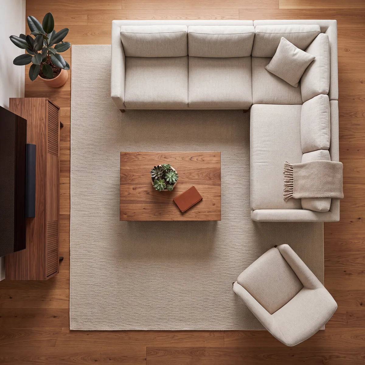Large & Oversized rug seen from above in a room