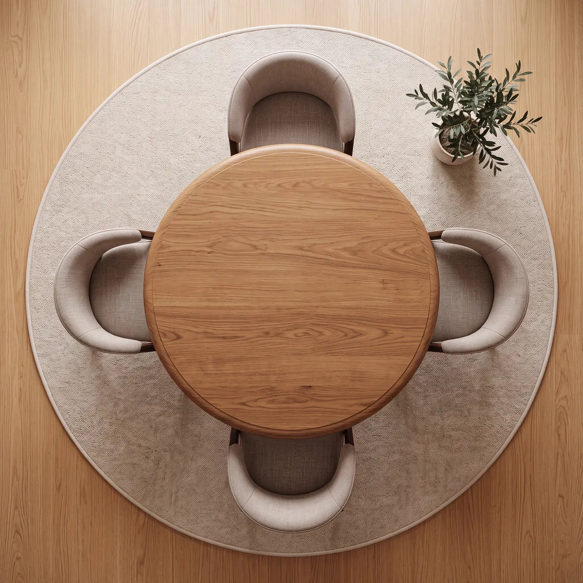Round rug seen from above in a room